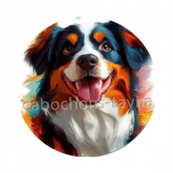chien