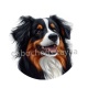 chien