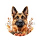 chien