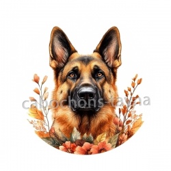 chien