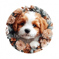chien