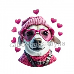 chien