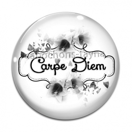 Cabochon Verre - carpe Diem