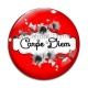 Cabochon Verre - carpe Diem