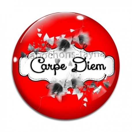 Cabochon Verre - carpe Diem