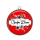 Pendentif Cabochon Argent - carpe Diem