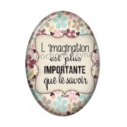 l'imagination est plus importante que le savoir