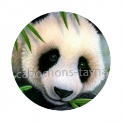 panda