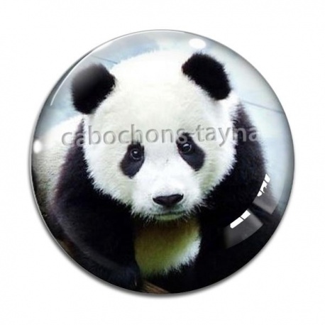 Cabochon Verre - panda