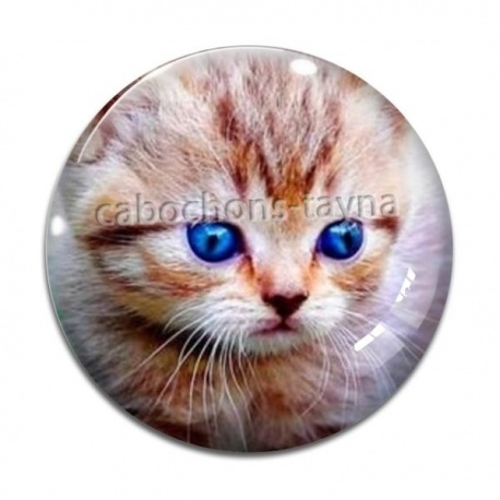 Cabochon Verre - chat