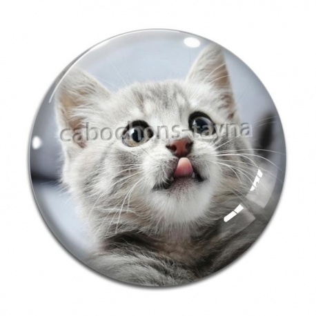 Cabochon Verre - chat