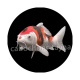 poisson
