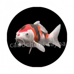 poisson
