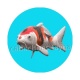 poisson