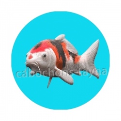 poisson