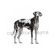 chien