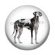 Cabochon Résine - chien