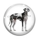 Cabochon Verre - chien