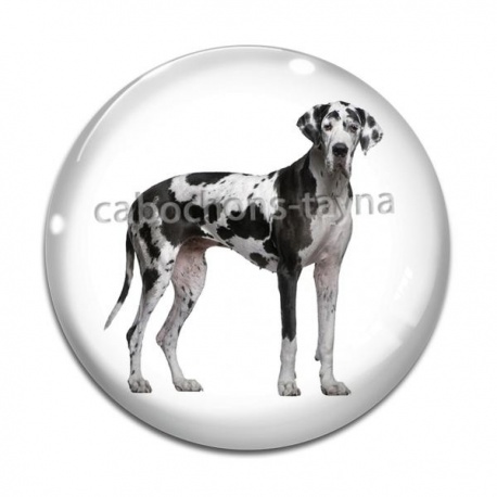 Cabochon Verre - chien