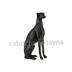 chien