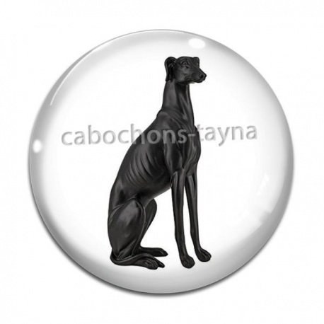 Cabochon Verre - chien