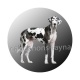 chien