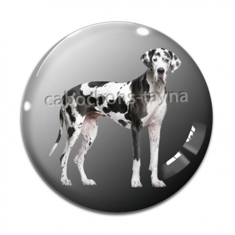 Cabochon Verre - chien