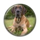 Cabochon Résine - chien
