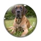 Cabochon Verre - chien