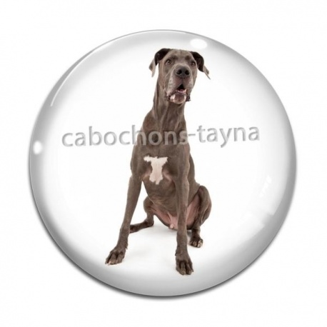 Cabochon Verre - chien