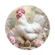 poule