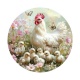 poule