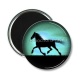 Magnet's - cheval