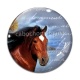 Cabochon Verre - cheval