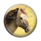 Cabochon Résine - cheval