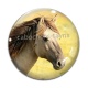 Cabochon Verre - cheval
