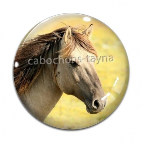 Cabochon Verre - cheval