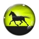 Cabochon Verre - cheval