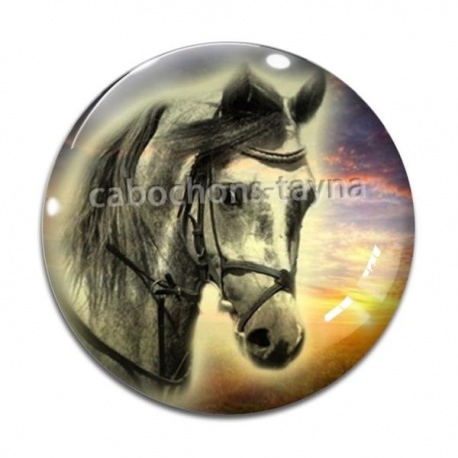 Cabochon Verre - cheval