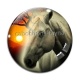 Cabochon Verre - cheval