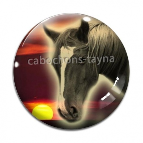Cabochon Verre - cheval