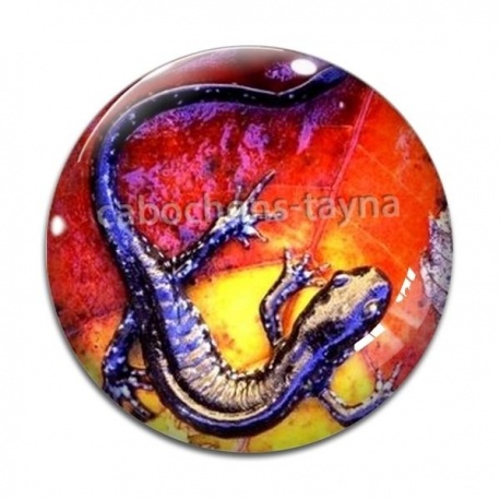 Cabochon Verre - salamandre