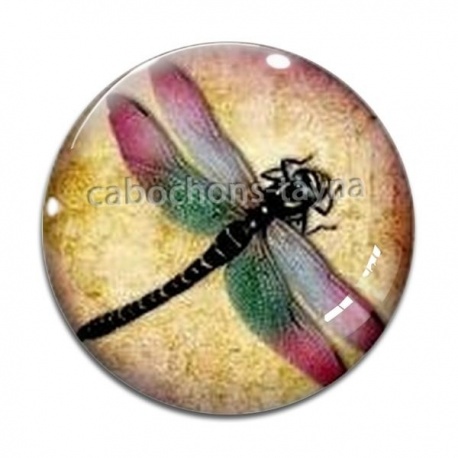 Cabochon Verre - libellule 