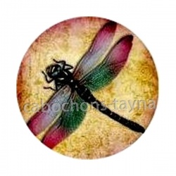 libellule 