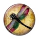 Cabochon Résine - libellule 