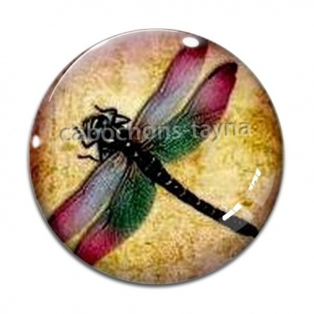 Cabochon Verre - libellule 