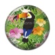 Cabochon Résine - toucan