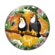 Cabochon Verre - toucan