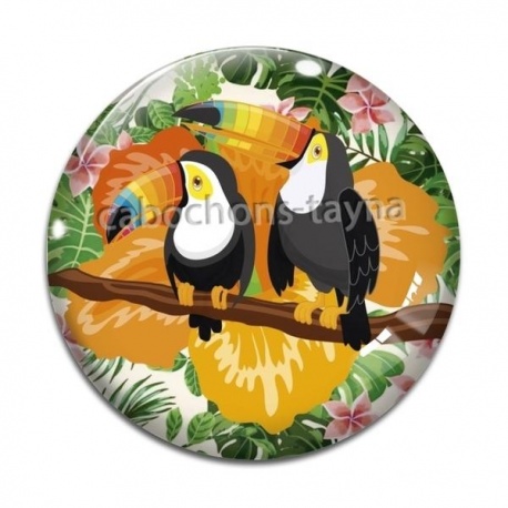 Cabochon Verre - toucan