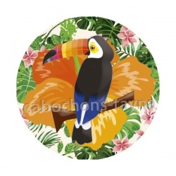 toucan